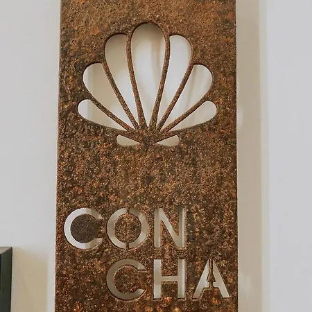 Concha Miradouro セトゥーバル