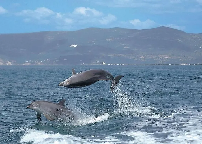 Concha Miradouro Apartmán